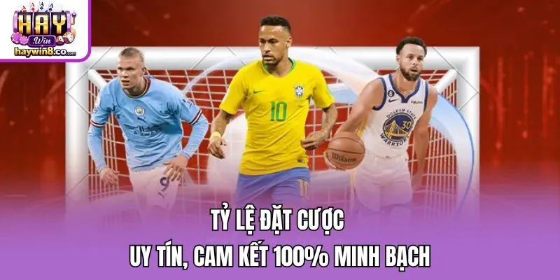 Tỷ lệ đặt cược uy tín, cam kết 100% minh bạch