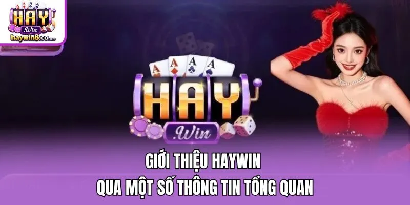 Giới thiệu Haywin qua một số thông tin tổng quan