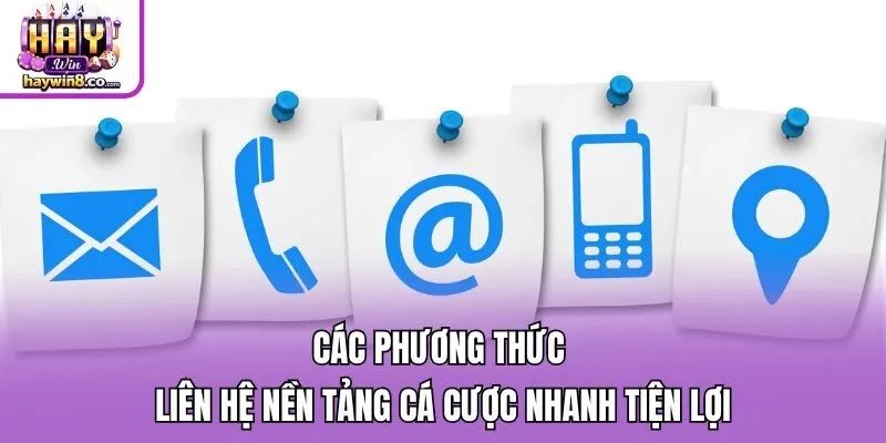 Các phương thức liên hệ nền tảng cá cược nhanh tiện lợi