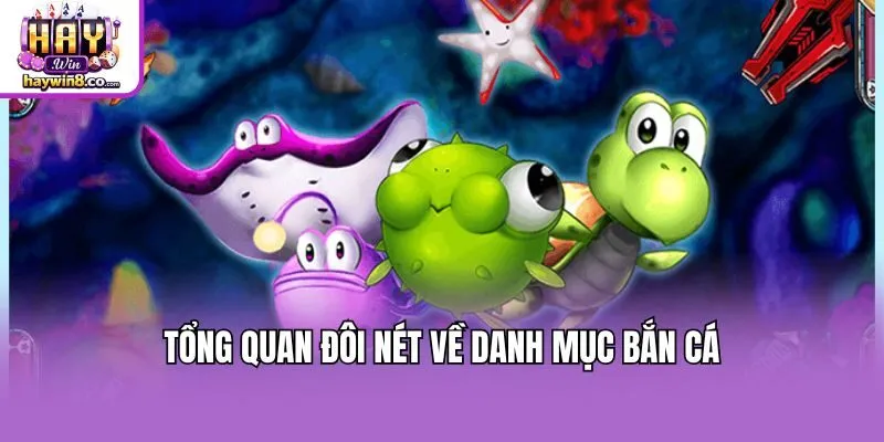 Tổng quan đôi nét về danh mục bắn cá