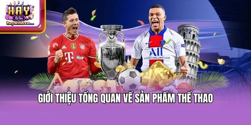 Giới thiệu tổng quan về sản phẩm thể thao